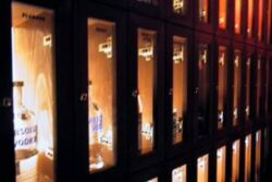 Releaseparty Forecast CD mit Pat Nightingale | Zoo Club (ZH) > Donnerstag 03.08.2000