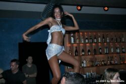Adrenalina mit Dj Pat Nightingale | Next Club Wallisellen (ZH) > Samstag 21.12.2001