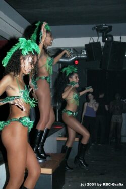 Adrenalina mit Dj Pat Nightingale | Next Club Wallisellen (ZH) > Samstag 21.12.2001