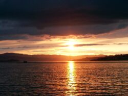 Sunset Boat mit Pat Nightingale | Zürichsee > Samstag 10.07.2004