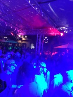 Albani Fest mit DJ Pat Nightingale | Kafisatz Winterthur (ZH) > Samstag 01.07.2017 | Albani Fest 2017 Albani Fest mit DJ Pat Nightingale | Kafisatz Winterthur (ZH) > Samstag 01.07.2017 | Albani Fest 2017